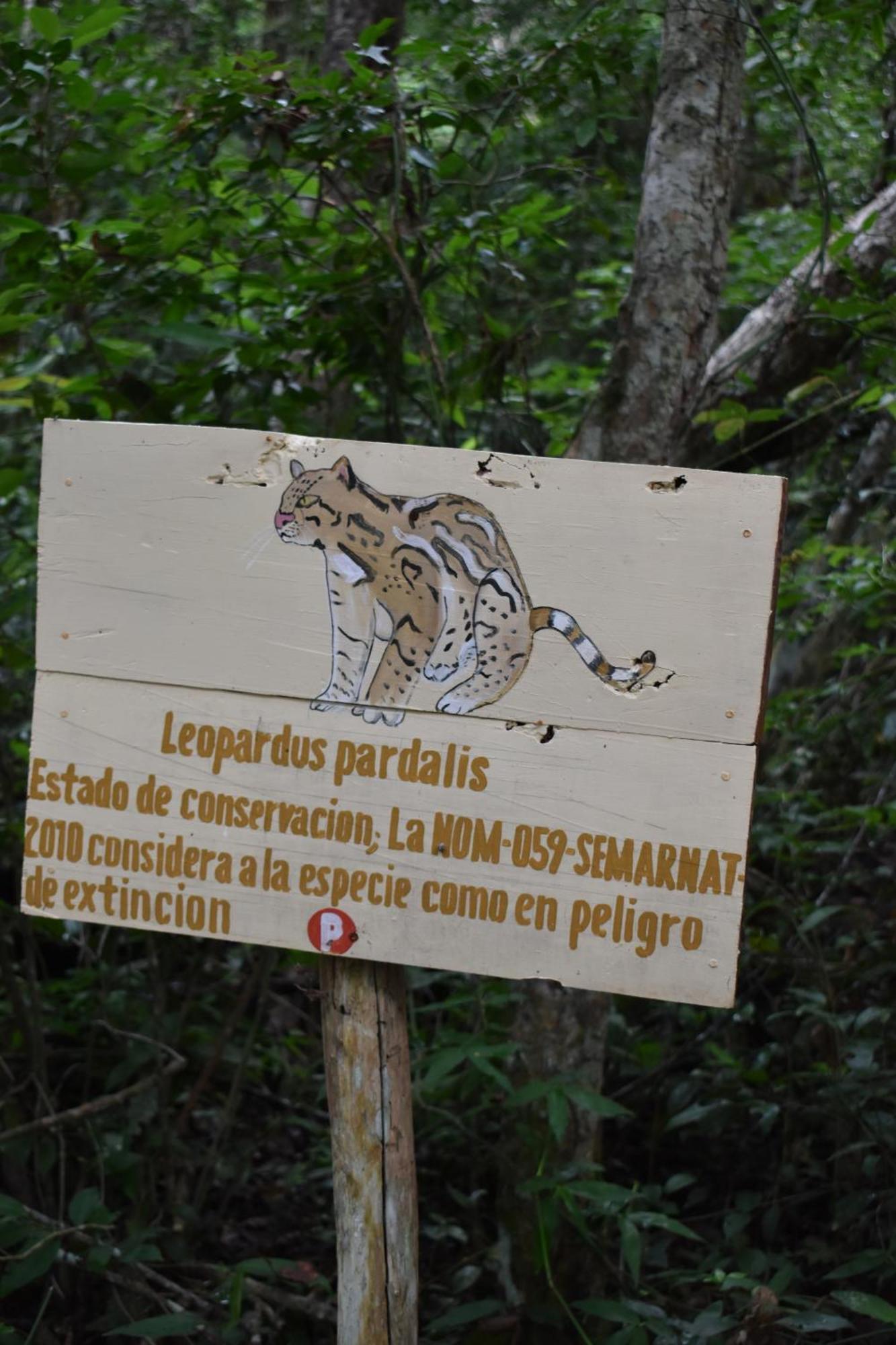 Eco Aldea Kinich Ahau Xpujil Exterior foto