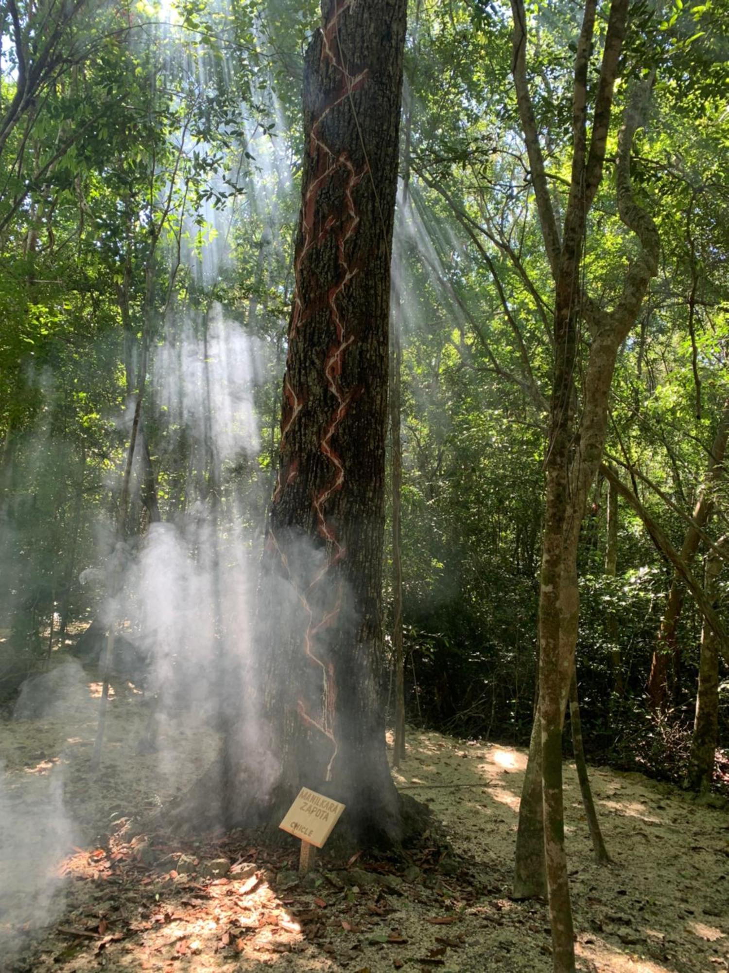 Eco Aldea Kinich Ahau Xpujil Exterior foto